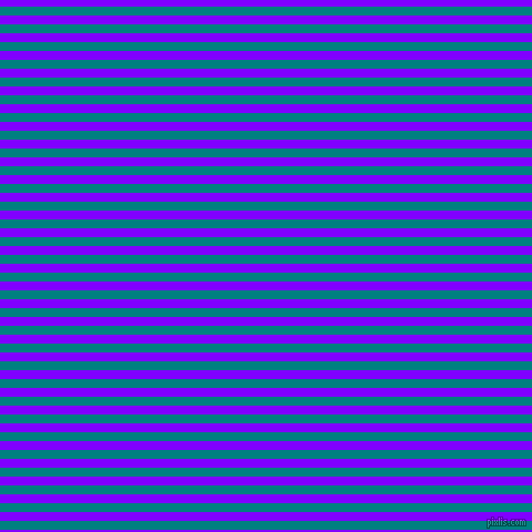 horizontal lines stripes, 8 pixel line width, 8 pixel line spacing, Teal and Electric Indigo horizontal lines and stripes seamless tileable