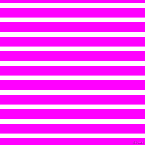horizontal lines stripes, 16 pixel line width, 32 pixel line spacing, White and Magenta horizontal lines and stripes seamless tileable