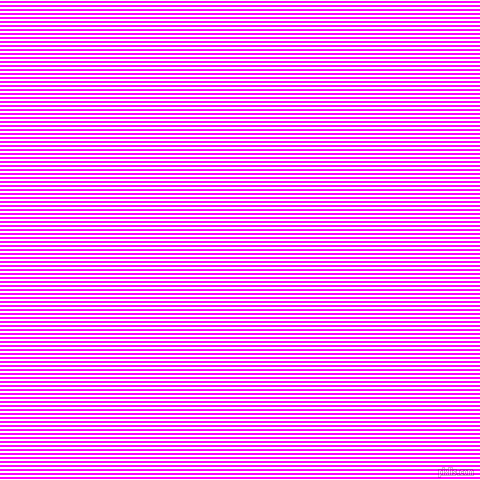 horizontal lines stripes, 2 pixel line width, 2 pixel line spacing, White and Magenta horizontal lines and stripes seamless tileable