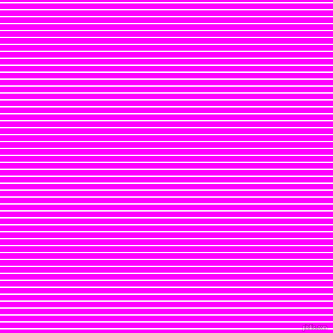horizontal lines stripes, 2 pixel line width, 8 pixel line spacing, White and Magenta horizontal lines and stripes seamless tileable