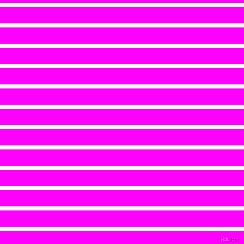 horizontal lines stripes, 8 pixel line width, 32 pixel line spacing, White and Magenta horizontal lines and stripes seamless tileable