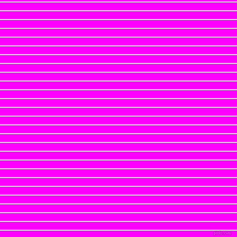 horizontal lines stripes, 2 pixel line width, 16 pixel line spacing, White and Magenta horizontal lines and stripes seamless tileable