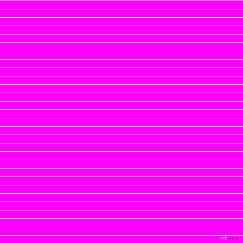 horizontal lines stripes, 1 pixel line width, 16 pixel line spacing, White and Magenta horizontal lines and stripes seamless tileable