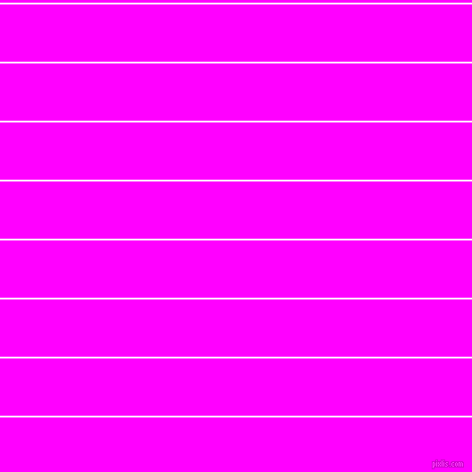 horizontal lines stripes, 2 pixel line width, 64 pixel line spacing, White and Magenta horizontal lines and stripes seamless tileable