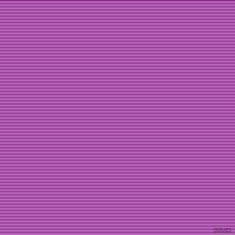 horizontal lines stripes, 1 pixel line width, 2 pixel line spacing, White and Purple horizontal lines and stripes seamless tileable