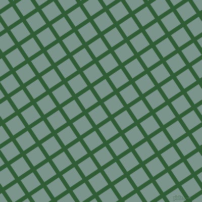 34/124 degree angle diagonal checkered chequered lines, 8 pixel line width, 29 pixel square size, Parsley and Granny Smith plaid checkered seamless tileable