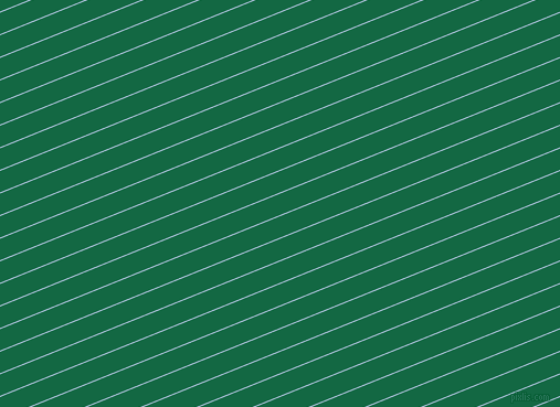 22 degree angle lines stripes, 1 pixel line width, 18 pixel line spacing, stripes and lines seamless tileable