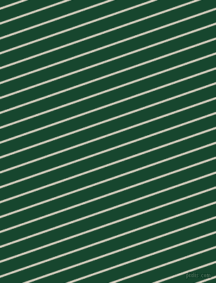 19 degree angle lines stripes, 3 pixel line width, 17 pixel line spacing, stripes and lines seamless tileable