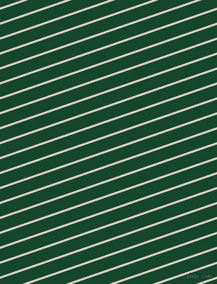 19 degree angle lines stripes, 3 pixel line width, 17 pixel line spacing, Blanc and Zuccini stripes and lines seamless tileable