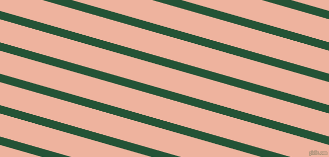 164 degree angle lines stripes, 16 pixel line width, 44 pixel line spacing, Kaitoke Green and Wax Flower stripes and lines seamless tileable