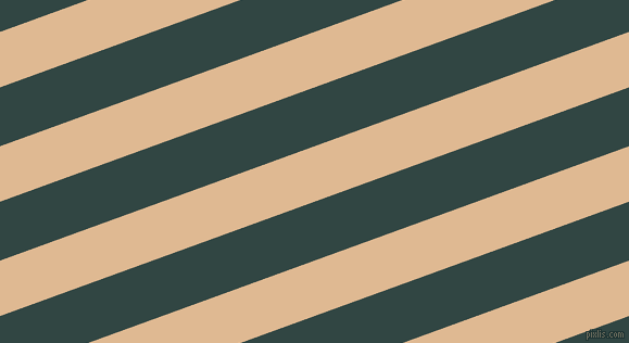 20 degree angle lines stripes, 48 pixel line width, 51 pixel line spacing, Pancho and Firefly stripes and lines seamless tileable